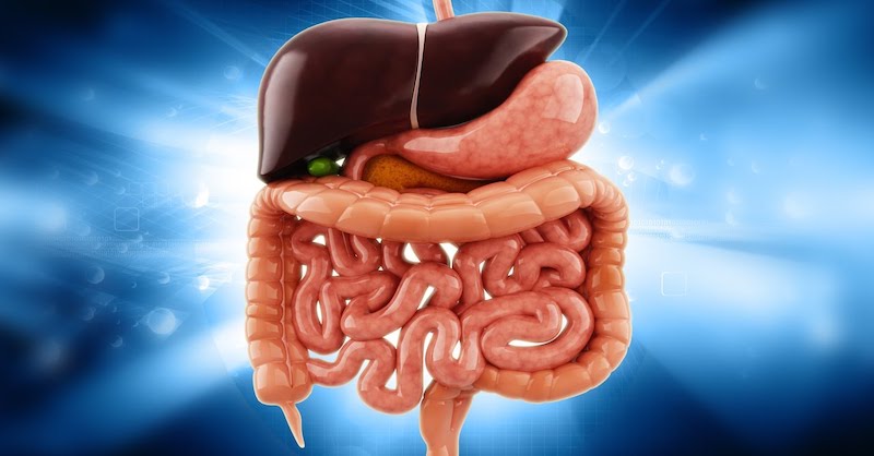 5 vecí, na ktoré nesmiete pri detoxikácii tela zabudnúť