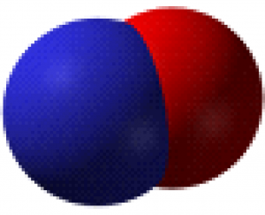 Molekula oxidu dusnatého