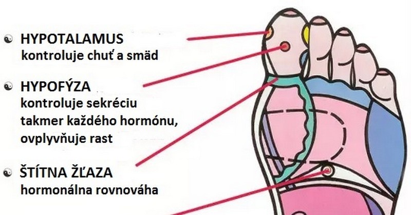 7 reflexných bodov na nohe, ktoré vám zmiernia stres a podporia metabolizmus