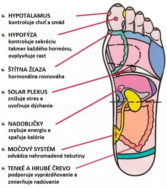 reflexológia nôh