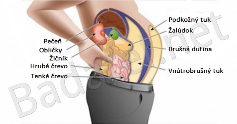 Toxíny v tukovom tkanive vás robia tučnými a opuchnutými: Takto ich vyčistíte