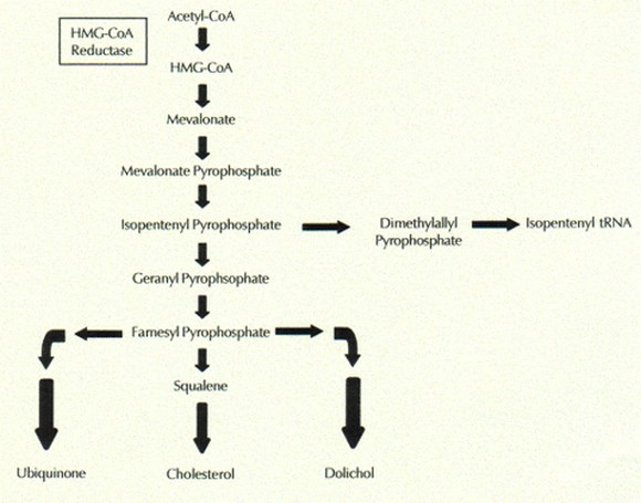 cholesterol-retazec