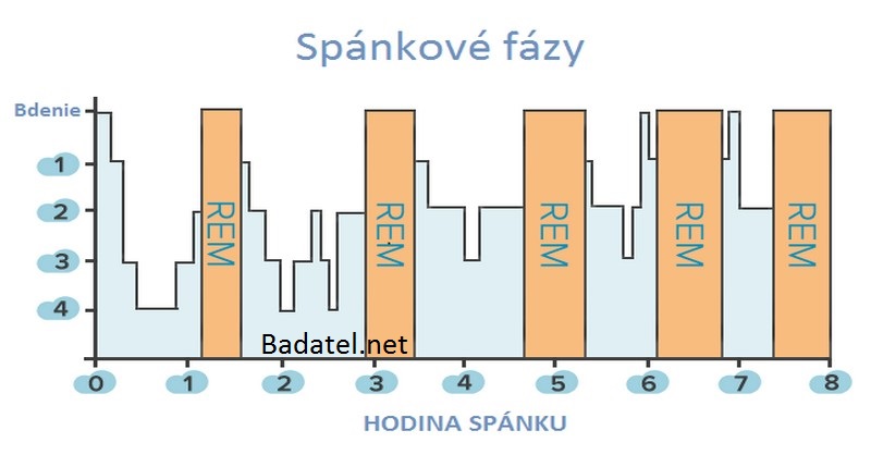 fázy spánku