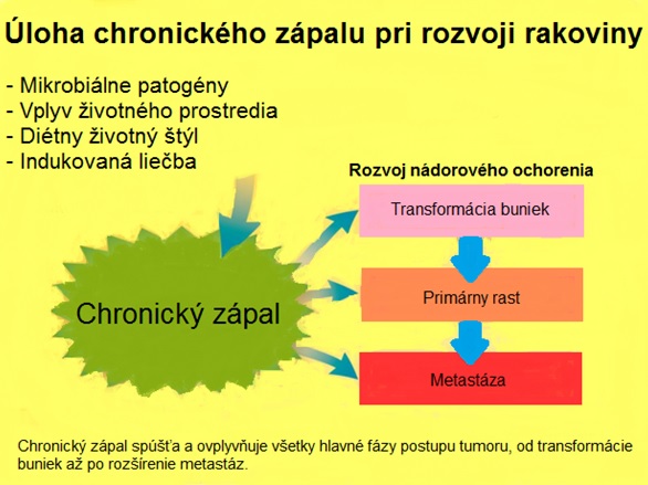 zapal-3