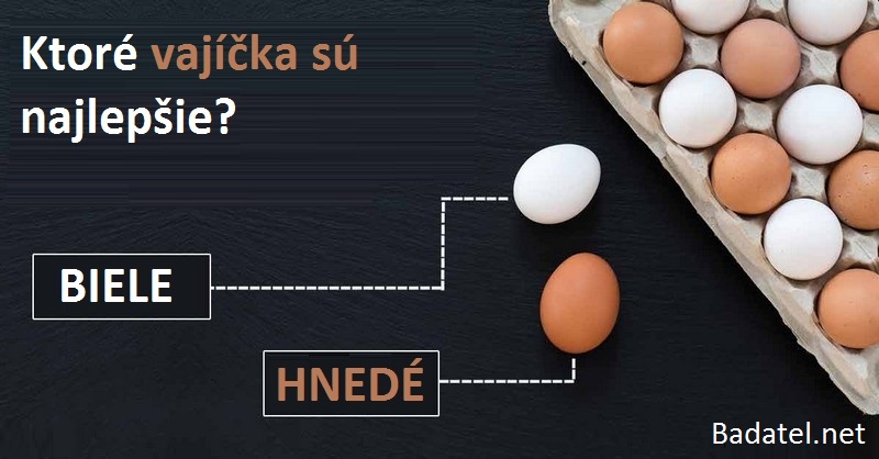 Konečne v tom mám jasno: Aký je rozdiel medzi bielymi a hnedými vajíčkami