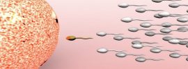 Pohlavný styk nie je potrebný – podľa ohromujúceho nového výskumu bunky organizmu prenášajú genetické informácie priamo do spermií