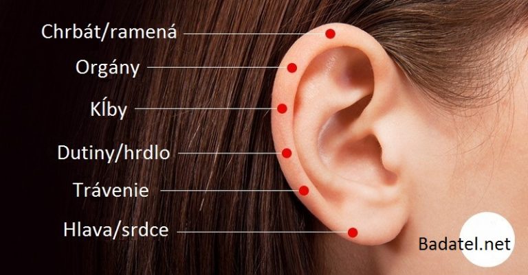 6 citlivých bodov na uchu – pôsobením na tieto body môžeme vyliečiť všetko, od stuhnutých chrbtových svalov a ramien až po tráviace ťažkosti či problémy s dutinami