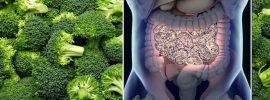 Nové zistenie: Brokolica pomáha liečiť priepustné črevo