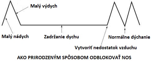 Prečo je dýchanie nosom také dôležité pre udržanie optimálneho zdravia a telesnú kondíciu