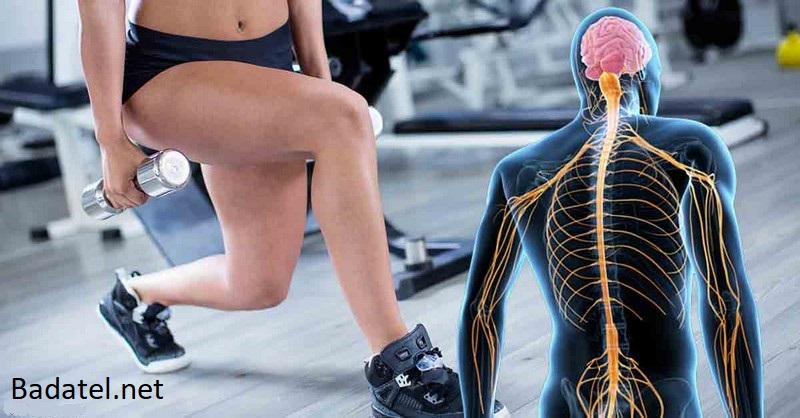 Pre optimálne zdravie vášho mozgu a nervového systému potrebujete cvičiť svaly nôh