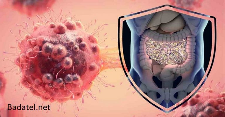 Črevný mikrobióm môže znamenať prelom v prevencii a liečbe rakoviny