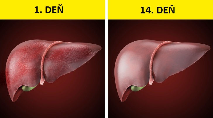 Čo sa deje s vaším telom, keď 28 dní nepijete alkohol