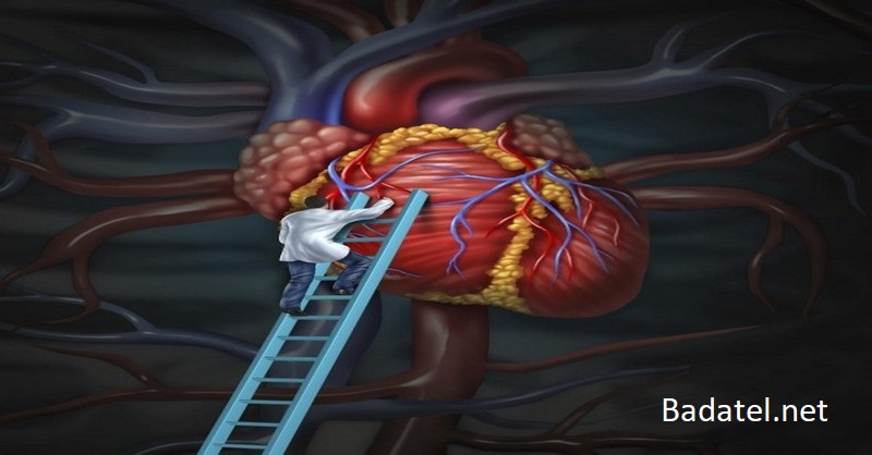 Mikrovlnky vám ´zasahujú´ srdce a ´bombardujú žiarením´ vaše jedlo – alarmujúce štúdie odhaľujú, že frekvencia mikrovlnného žiarenia môže mať nepriaznivý vplyv na srdce a krv