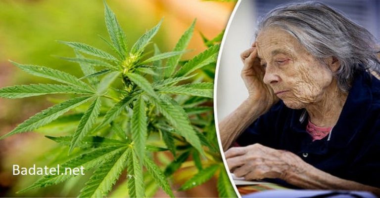 Účinky THC na poškodzujúce bielkoviny pri Alzheimerovej chorobe