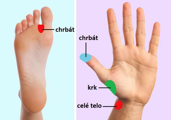 9 druhov masáží, ktoré vám môžu pomôcť pri bolesti chrbta a krku