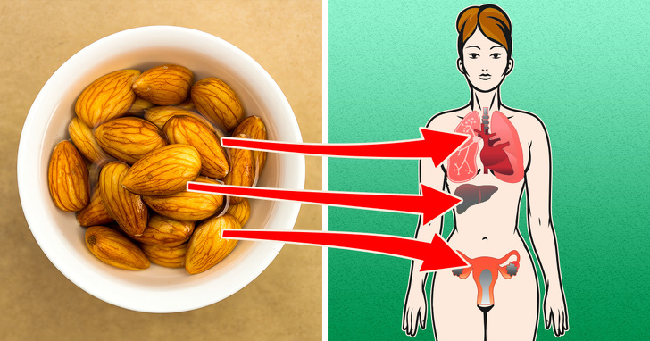 4 veci, ktoré sa stanú s vaším telom, keď začnete jesť každý deň mandle