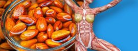 4 veci, ktoré sa stanú s vaším telom, keď začnete jesť každý deň mandle