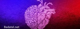 Vedci zisťujú, že srdce a mozog reagujú na budúce udalosti – skôr, ako k nim dôjde