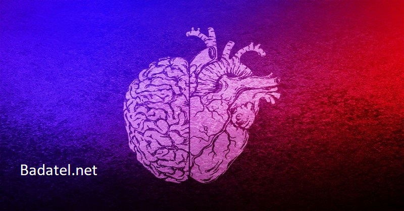 Vedci zisťujú, že srdce a mozog reagujú na budúce udalosti – skôr, ako k nim dôjde