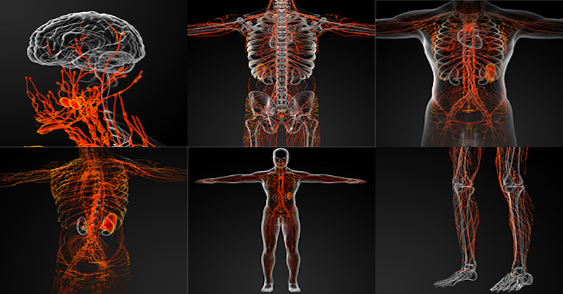 7 prírodných spôsobov na detoxikáciu a udržanie čistého lymfatického systému