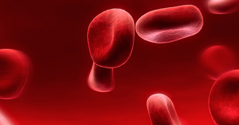 Podľa vedcov Bt-toxíny v plodinách od Monsanta poškodzujú červené krvinky