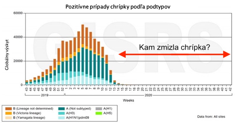 Kam zmizla chrípka? Jej výskyt celosvetovo klesol takmer na nulu