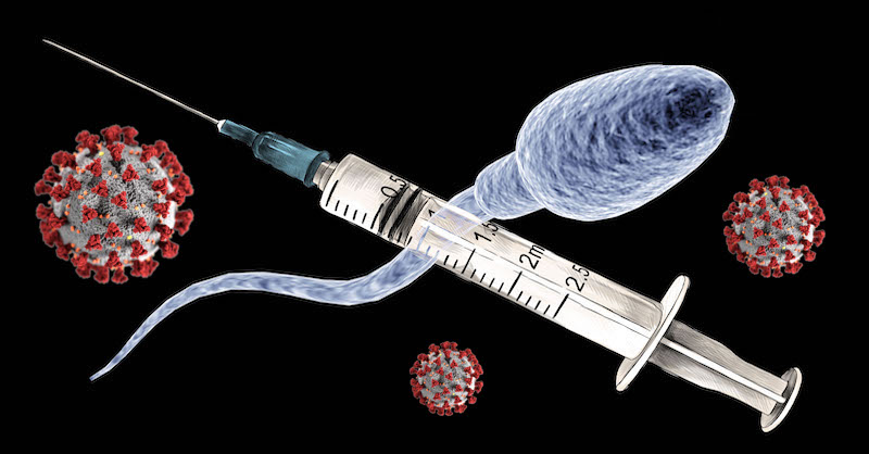 Univerzita v Miami skúma, či vakcíny na COVID-19 nepoškodia mužskú plodnosť