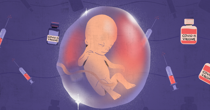 Boli covidové vakcíny vyvinuté pomocou tkanív zo zabitých živých novorodencov?