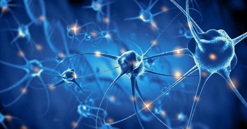 Biotechnologická firma chce ovládať mysle ľudí prostredníctvom neuromodulácie