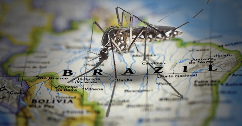 Komáre Billa Gatesa spôsobili v Brazílli 400% nárast horúčky dengue. Teraz ponúka vakcíny, aby to zastavil
