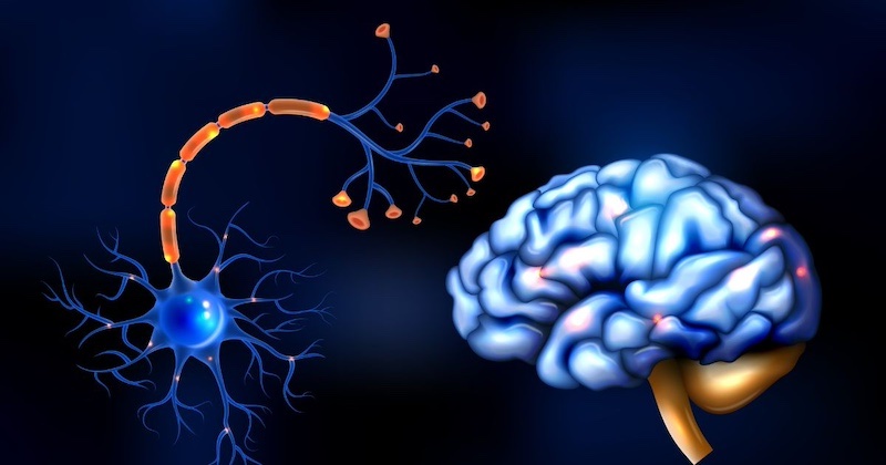 Široko predpisované psychiatrické lieky môžu spôsobiť smrteľné ochorenie motorických neurónov