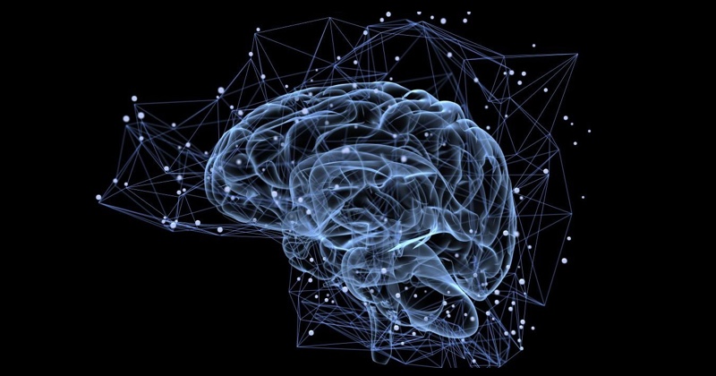 Prelom umelej inteligencie v čítaní mysle: Vedci dekódovali myšlienky bez použitia mozgových implantátov Prelom umelej inteligencie v čítaní mysle: Vedci dekódovali myšlienky bez použitia mozgových implantátov