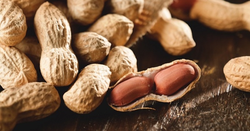 Podľa nového výskumu denná konzumácia arašidov dokáže už za 14 týždňov zlepšiť pamäť a funkcie mozgu