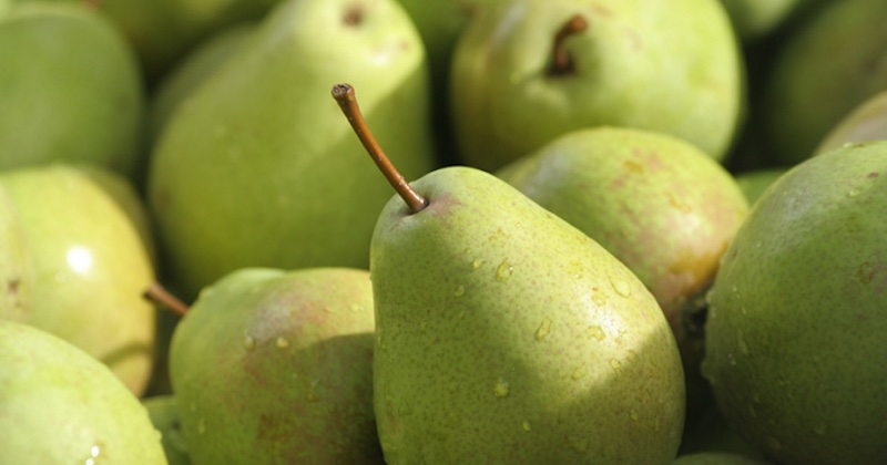 Zimné superpotraviny, ktoré by ste mali jesť namiesto nezdravých vianočných jedál Zimné superpotraviny, ktoré by ste mali jesť namiesto nezdravých vianočných jedál