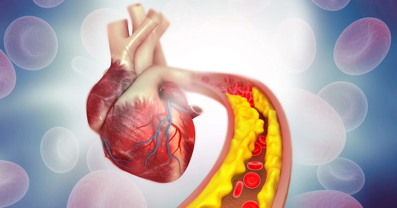 Raňajkové hodiny: Prečo načasovanie vášho ranného jedla je tajnou zbraňou proti zlému vysokému cholesterolu