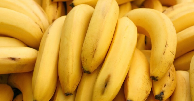 Dvojsečné ovocie: Okrem zdravotných prínosov majú banány aj skryté riziká