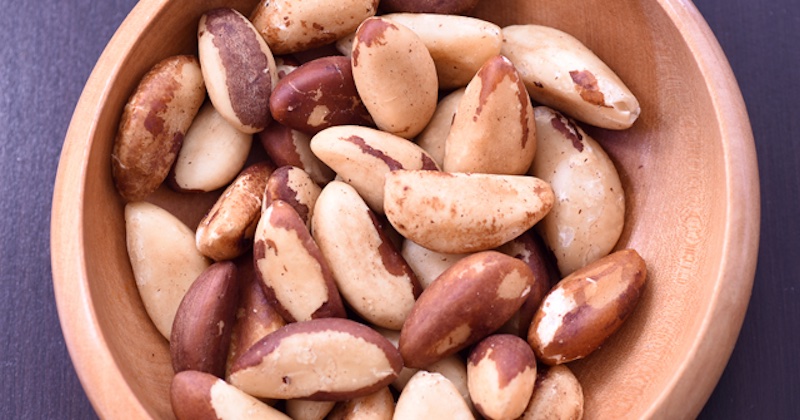 Zabudnutá amazonská lekáreň: Nová veda odhalila plný liečivý potenciál para orechov