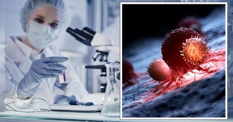 80% pacientov hlási zlepšenie alebo stabilizáciu rakoviny po 6 mesiacoch liečby ivermektínom a mebendazolom 80% pacientov hlási zlepšenie alebo stabilizáciu rakoviny po 6 mesiacoch liečby ivermektínom a mebendazolom