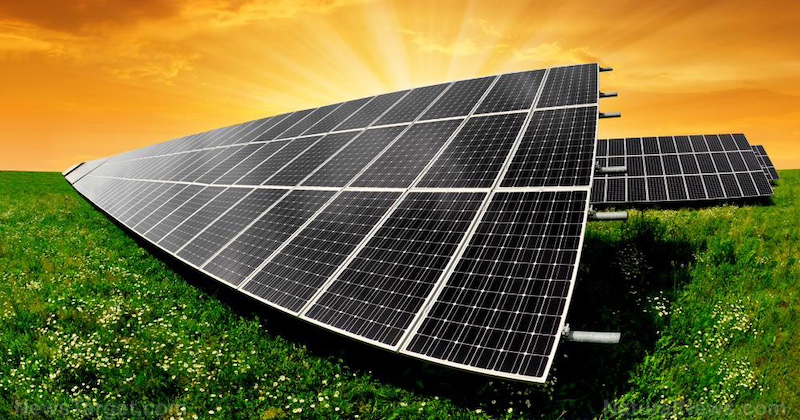 Toxická pravda za ilúziou o solárnej energii: Odpad z ťažkých kovov robí úrodnú pôdu nepoužiteľnú