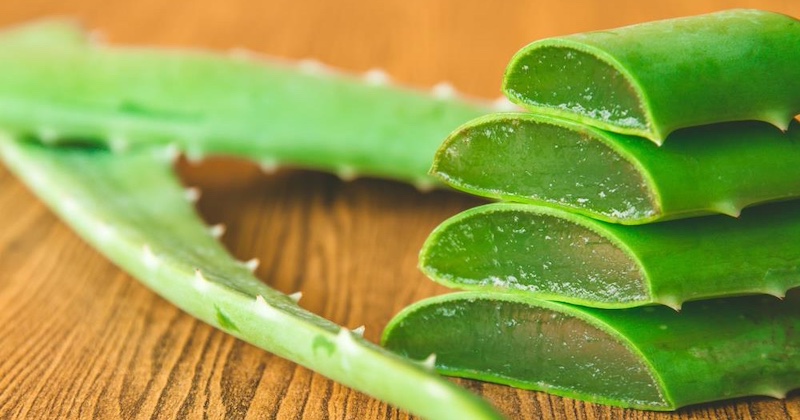 Vedci skúmajú látku z aloe vera proti Alzheimerovi. Týchto 7 krokov však pomáha chrániť vašu pamäť už dnes Vedci skúmajú látku z aloe vera proti Alzheimerovi. Týchto 7 krokov však pomáha chrániť vašu pamäť už dnes