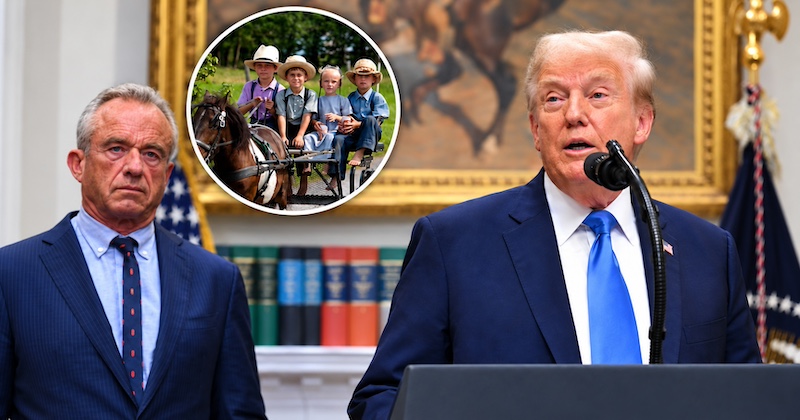 Výskum autizmu medzi Amišmi zostal 16 rokov nepublikovaný. Trump teraz otvoril otázku chýbajúcich údajov o očkovaní Výskum autizmu medzi Amišmi zostal 16 rokov nepublikovaný. Trump teraz otvoril otázku chýbajúcich údajov o očkovaní